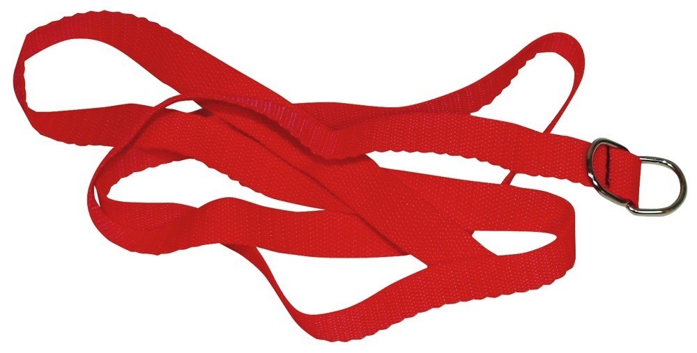 Kit Bondage Set Bad Kitty Vermelho - Image 6